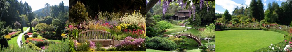 Discover the Pleasure of Plants